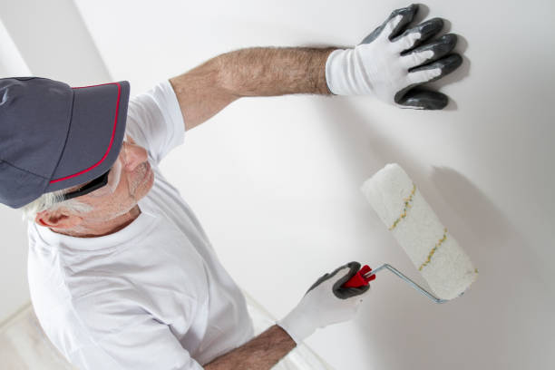 Best Real Estate Mold Inspection  in Navarre, OH