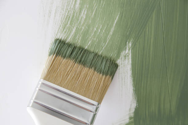 Best Commercial Mold Inspection  in Navarre, OH