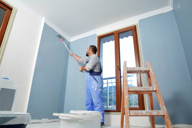 Best Emergency Mold Remediation  in Navarre, OH
