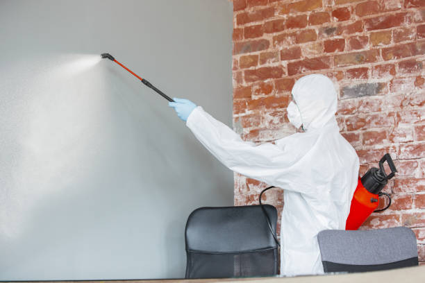 Best Biohazard Mold Removal  in Navarre, OH