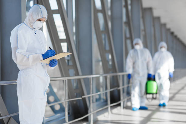 Best Environmental Consulting for Mold Prevention  in Navarre, OH