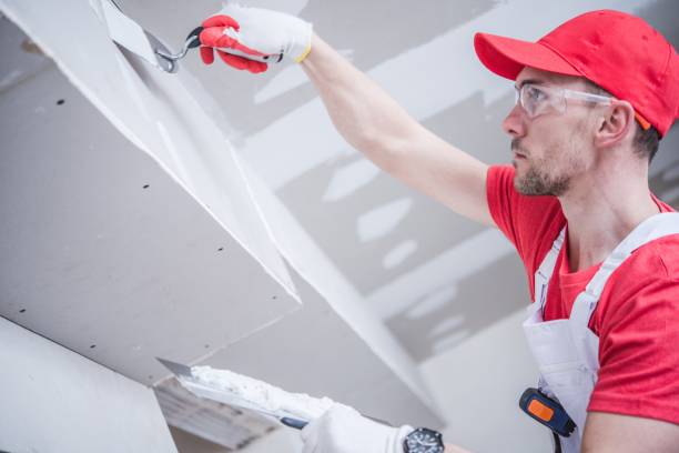 Best Black Mold Removal  in Navarre, OH